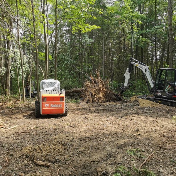 lot clearing and tree removal ottawa