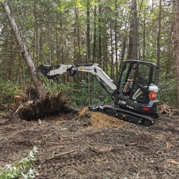 large tree removal with excavator