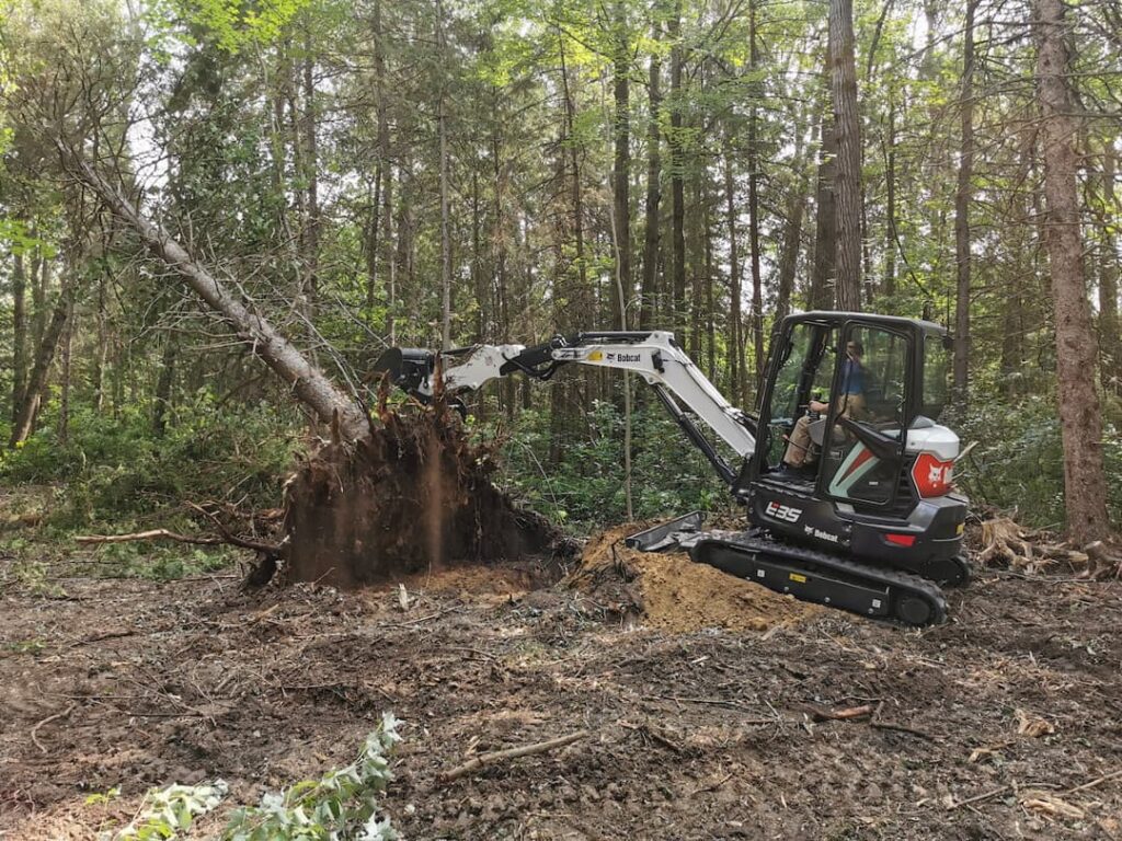 tree removal service in ottowa